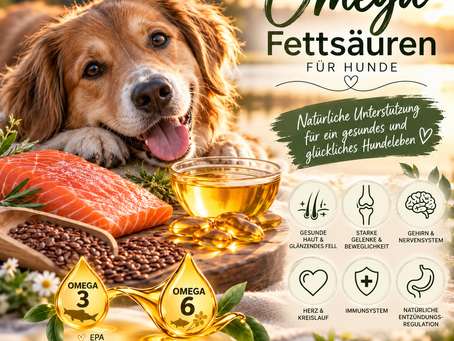 Omega-3 & Omega-6 beim Hund: Wirkung, Verhältnis, Dosierung und die besten Quellen
