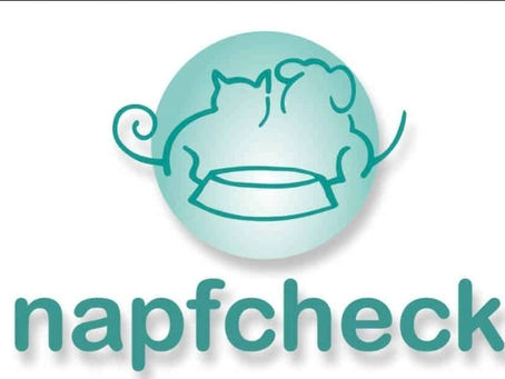 Napfcheck Ernährungsberatung für Hunde – Individuell, wissenschaftlich und mit Herz