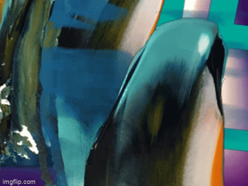 5qwqrm.gif