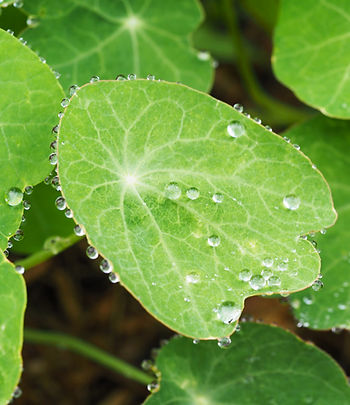 Retour à l'essentiel avec Anne Rey