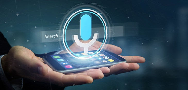 Voice Search and Voice User Interfaces (VUIs)