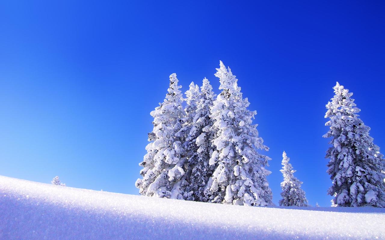Offerta Neve di primavera