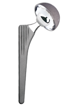 PLUS FIT CEMENTLESS HIP SYSTEM.png