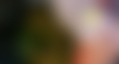 Do Not Touch The Children