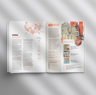 PJP Inside, inside pages