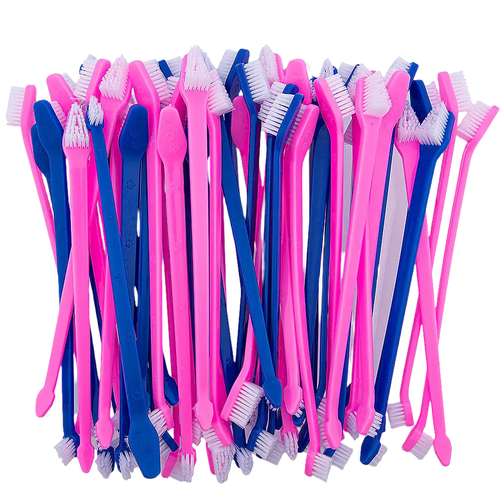 Tooth Brush Dual-End Bulk