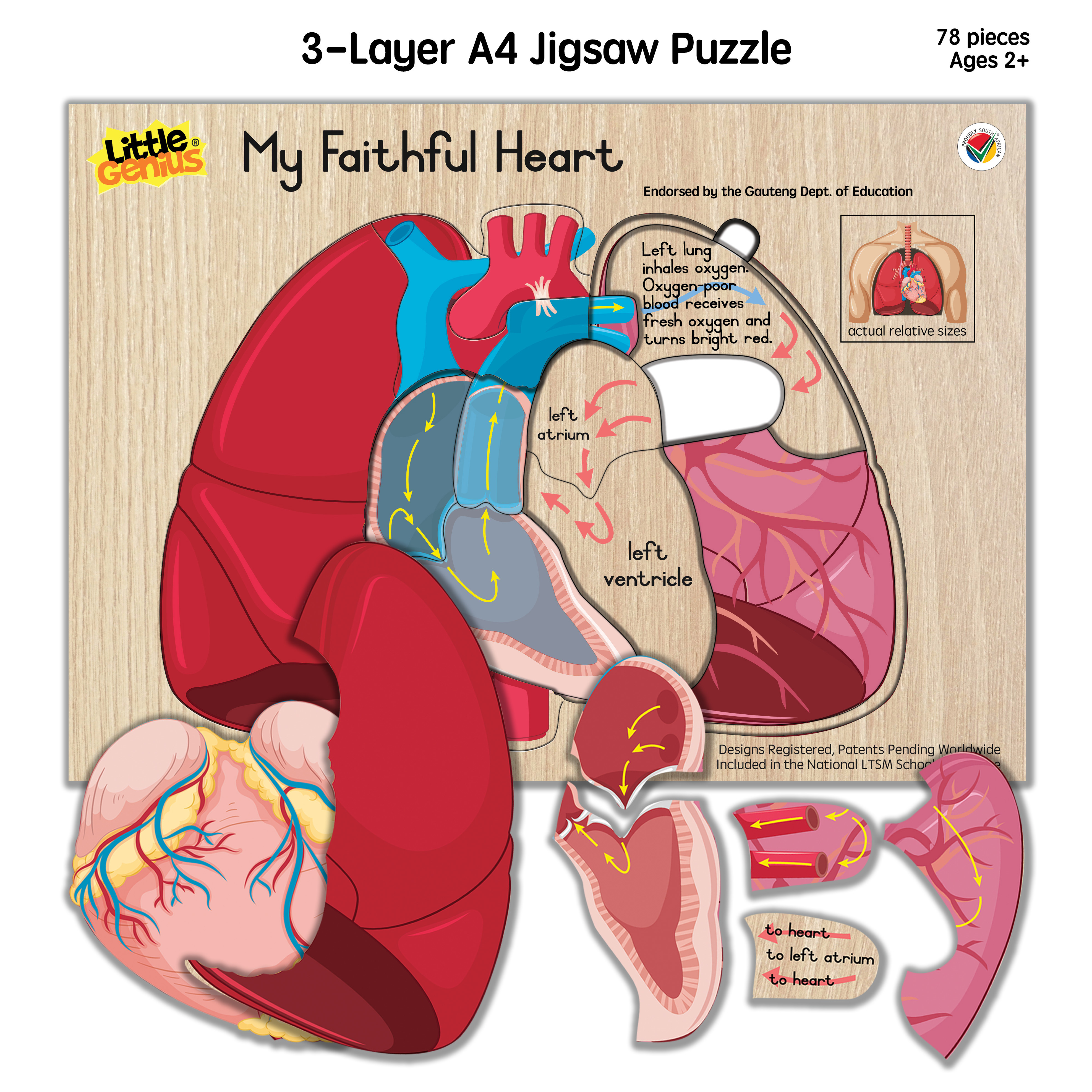 My Faithful Heart
