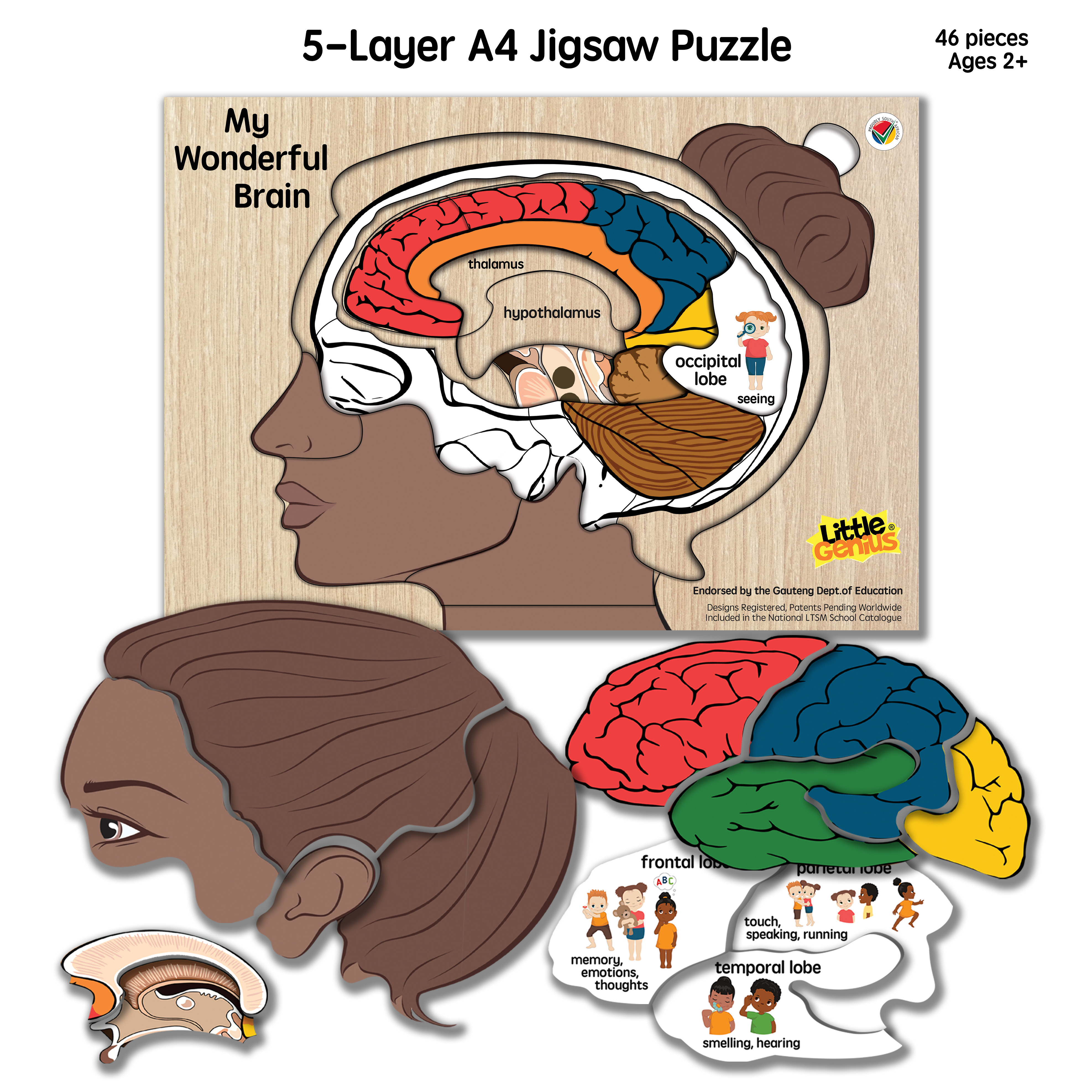 My Wonderful Brain
