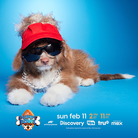 Guy Fureri GFX 04 02.png