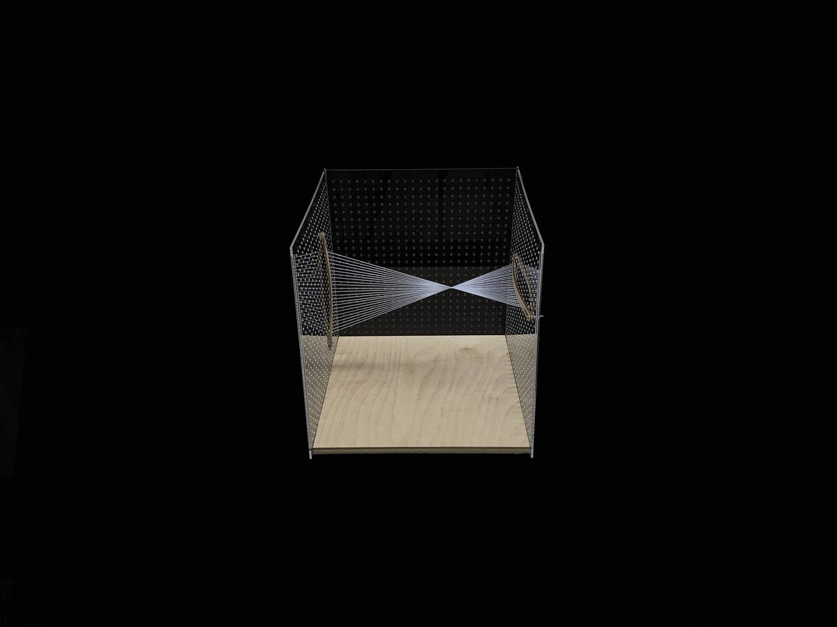 01_Model_BW.gif