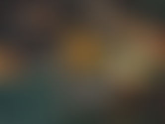 Exploring the Joys of Buying Koi Fish