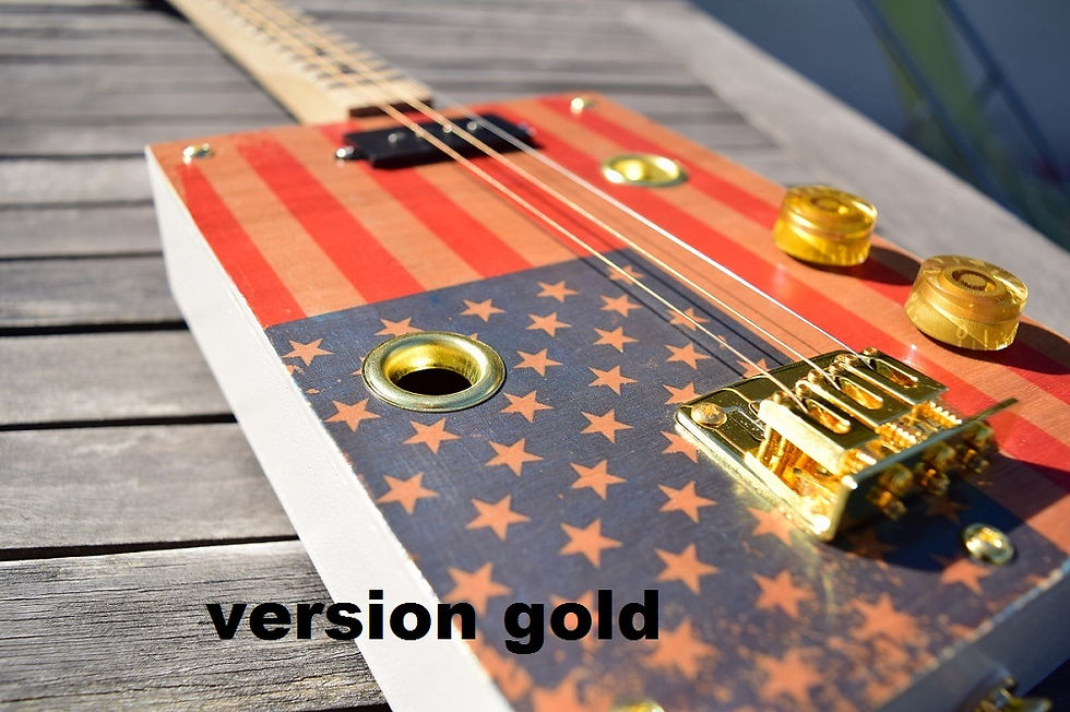 Miniature : Guitare box "Flag Of The US"