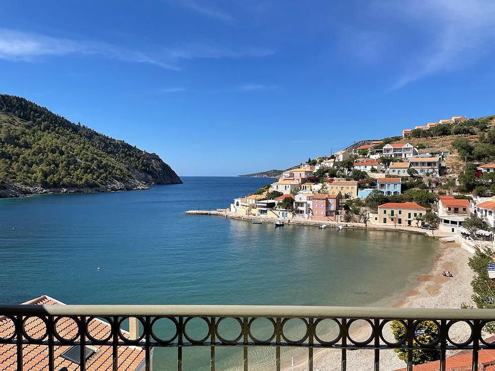 WhatsApp Image 2022-03-31 at 12.05.33 PM (14)