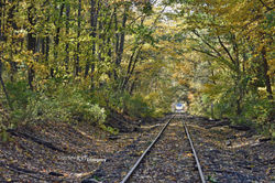 LSN-028 Depot Rails - Fall DSC_9174 (o) 