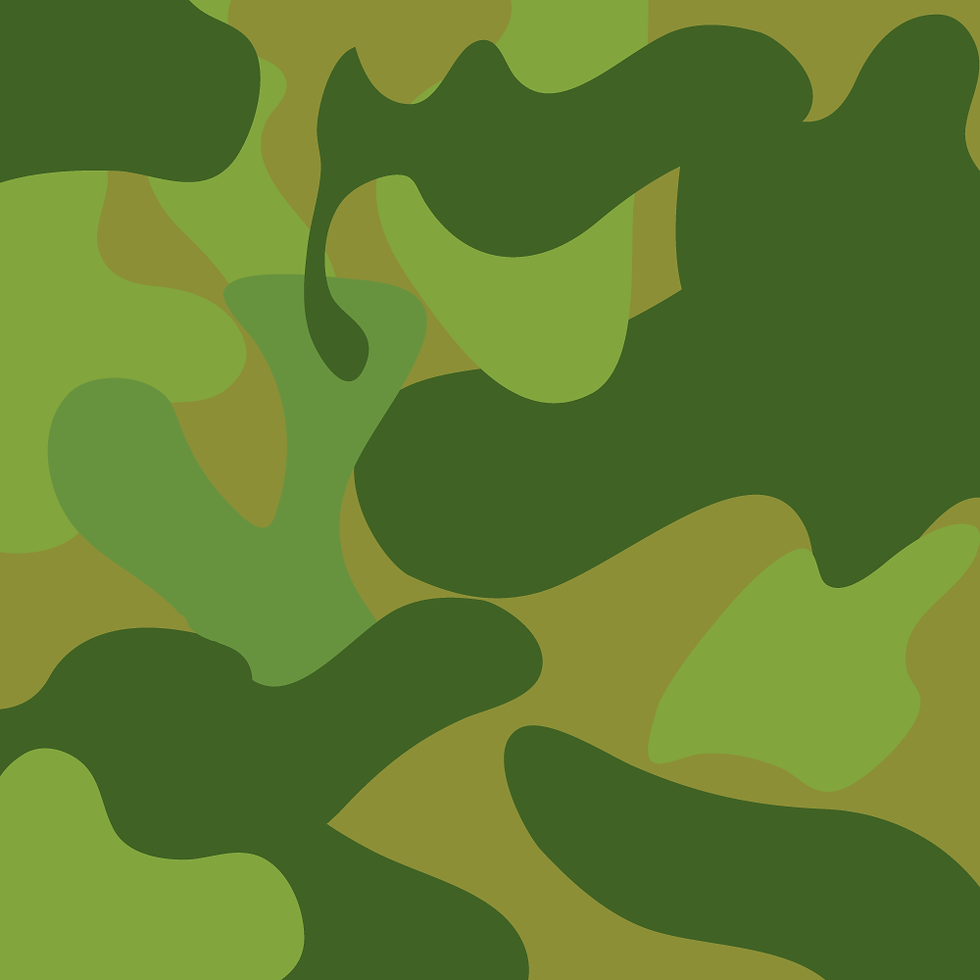 Vinney's Camo