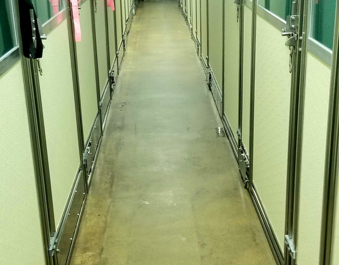 FACILITY YARDS AND INSIDE ENCLOSURES lonepinekennel