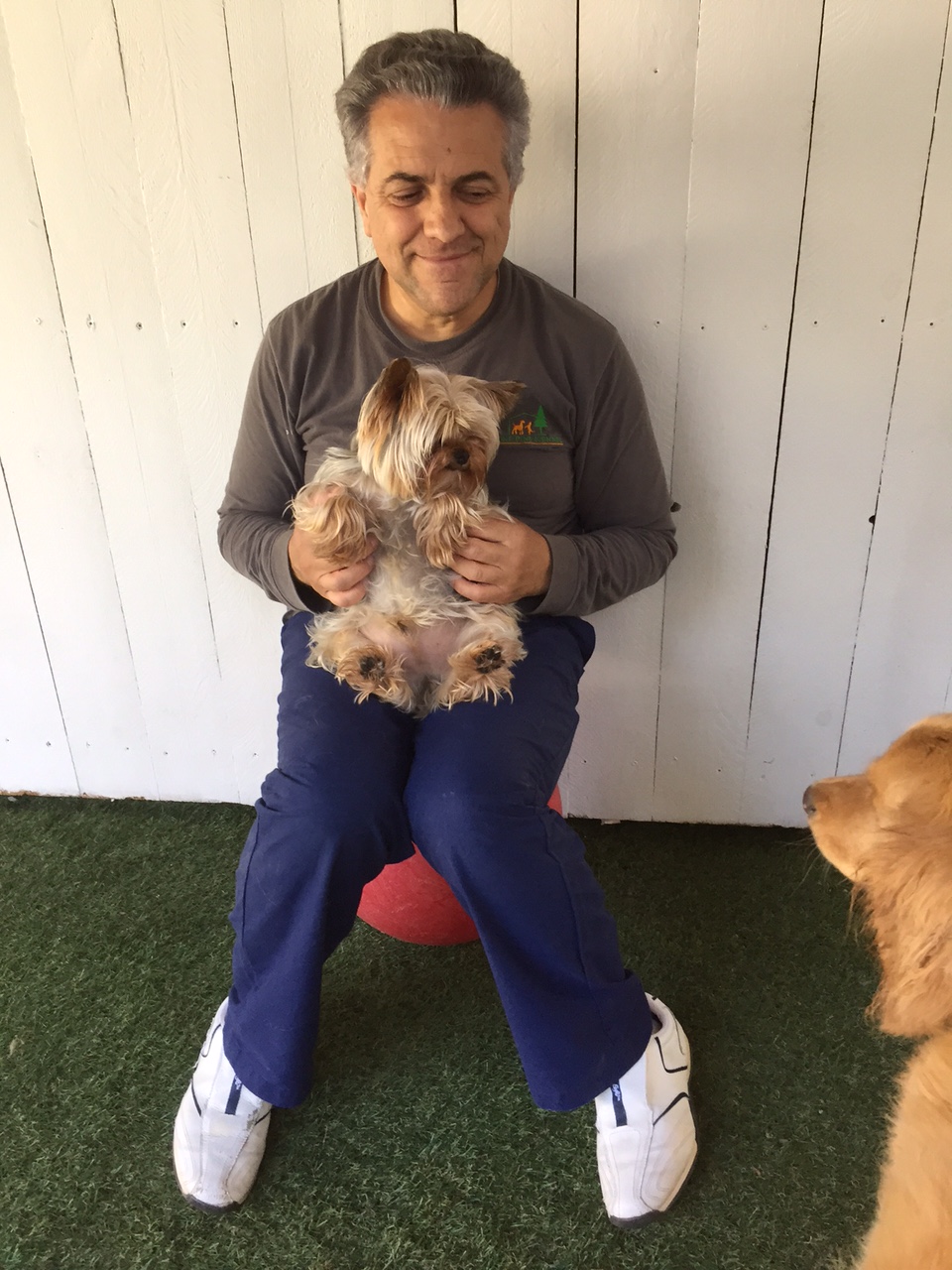 GALLERY lonepinekennel