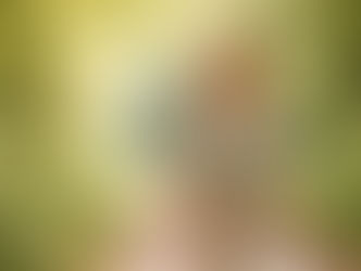 Antibatterico non significa innocuo: fitoterapia e microbiota orale