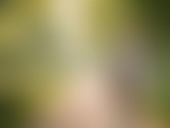 Parodontite e rischio implantare: cosa dice la ricerca scientifica