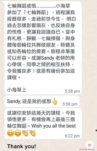 C. 七輪療癒之舞課程 - 學員回饋