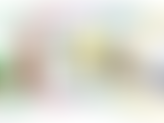 Nouveau graphisme, nouvelles illustrations ... et c'est parti pour le 1er tirage !