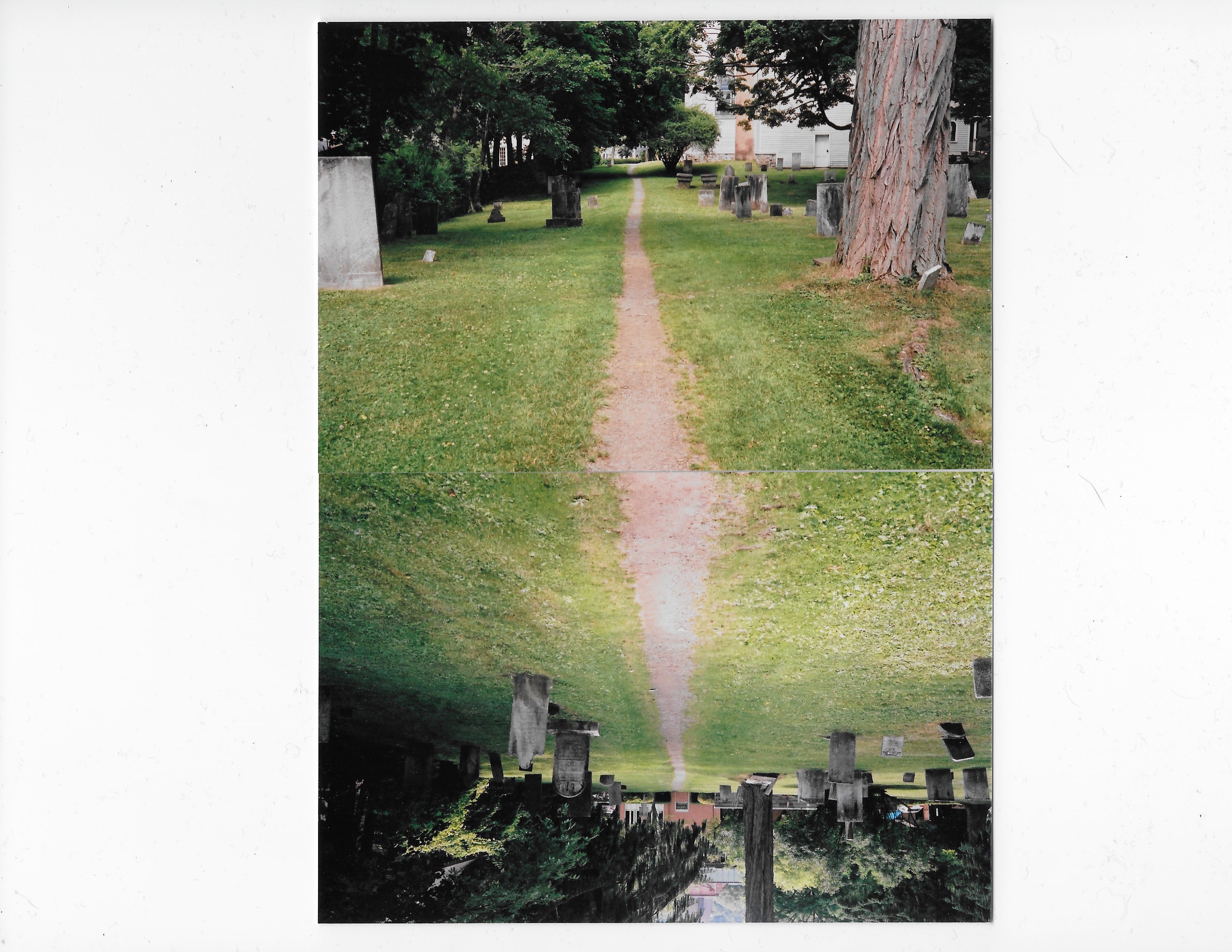 Scan 48