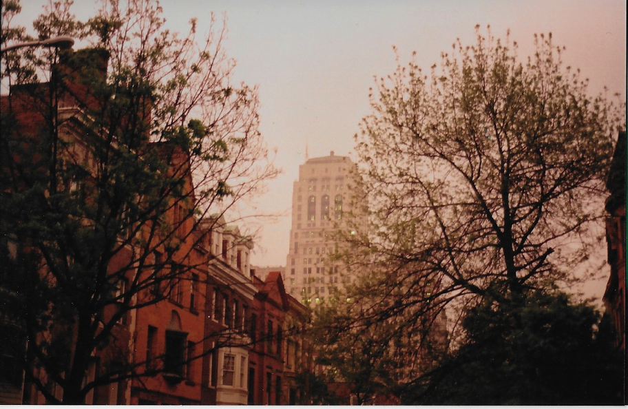 Scan 61