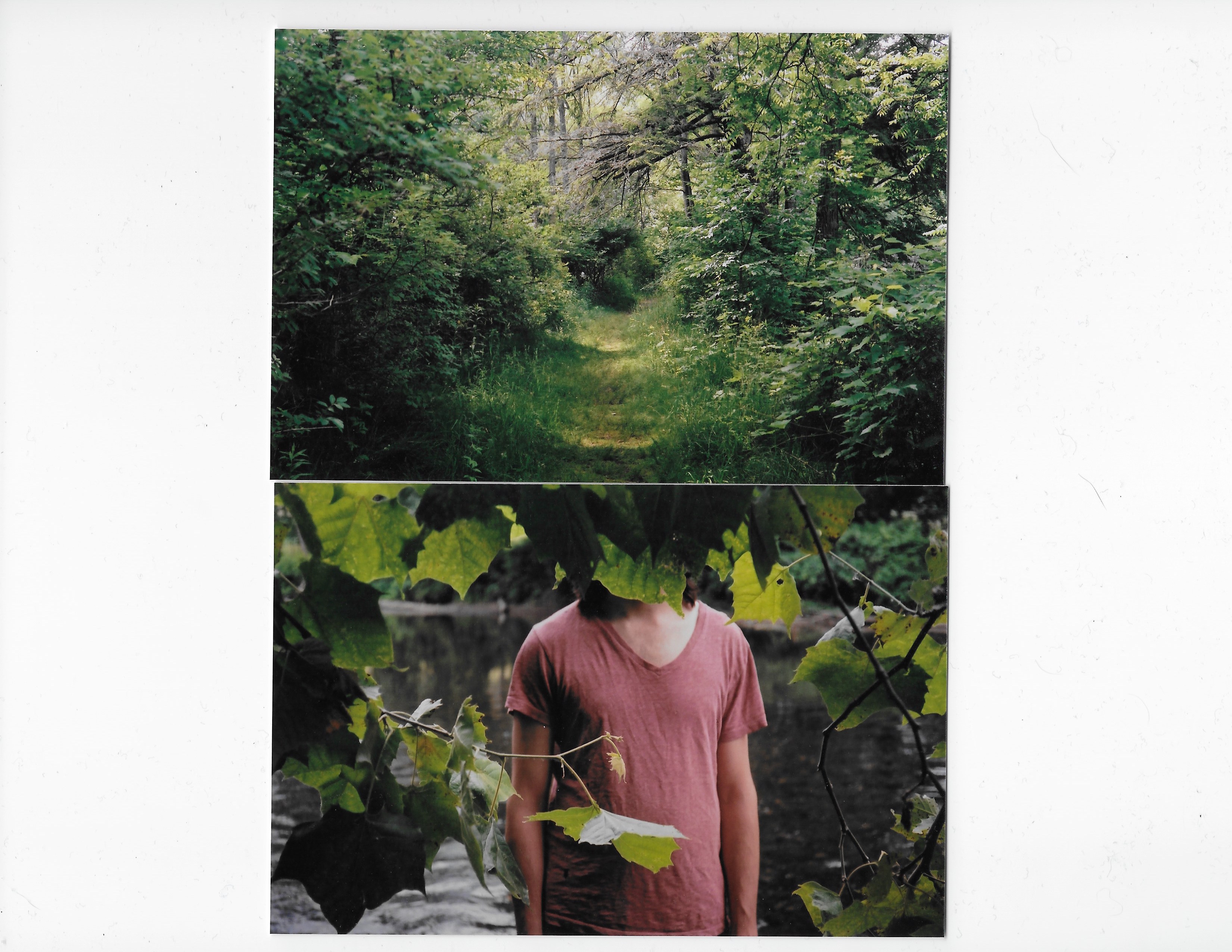 Scan 45