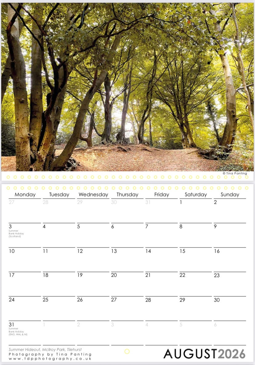 Thumbnail: Moods of Trees Calendar 2026