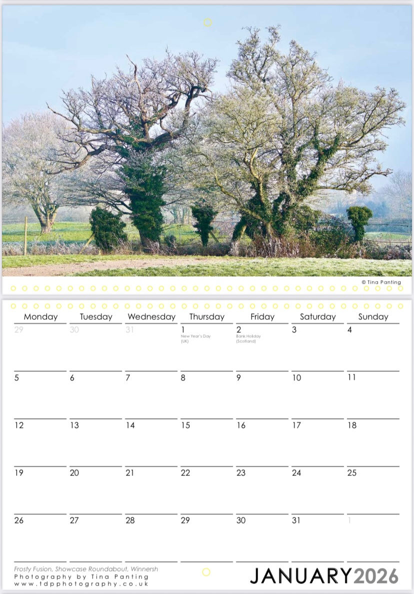 Thumbnail: Moods of Trees Calendar 2026