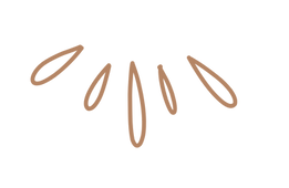 Strahlen_edited.png