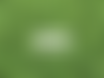 Online-Dialogplattform am 27. Januar 2021