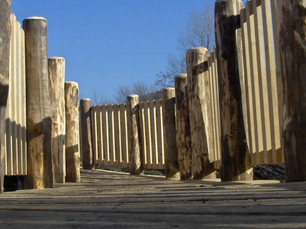 53 - FORESTAVIVA Settembre 2013