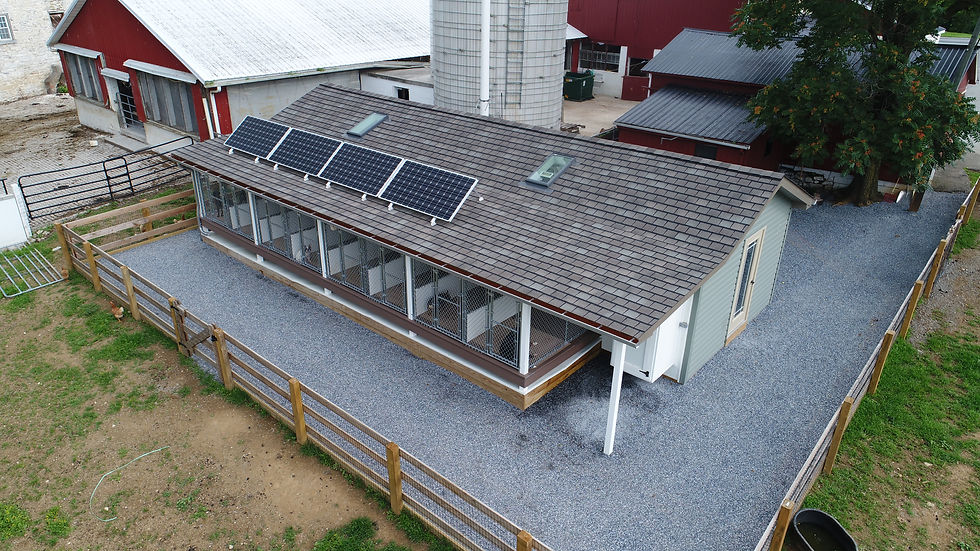Beautiful & Custom Commercial Dog Kennels True Wood Builders