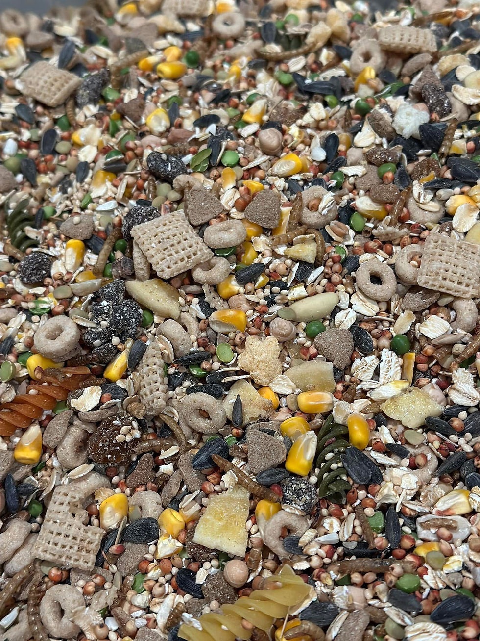 Thumbnail: Enrichment Treat Mix
