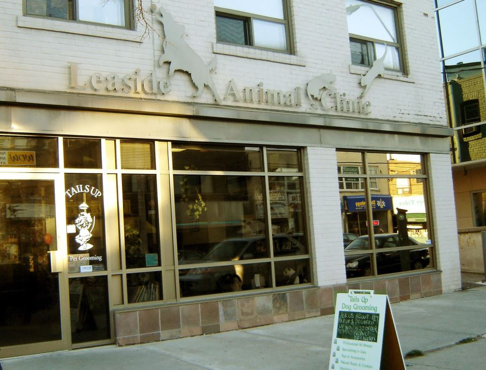 Tails Up Dog Grooming in Toronto