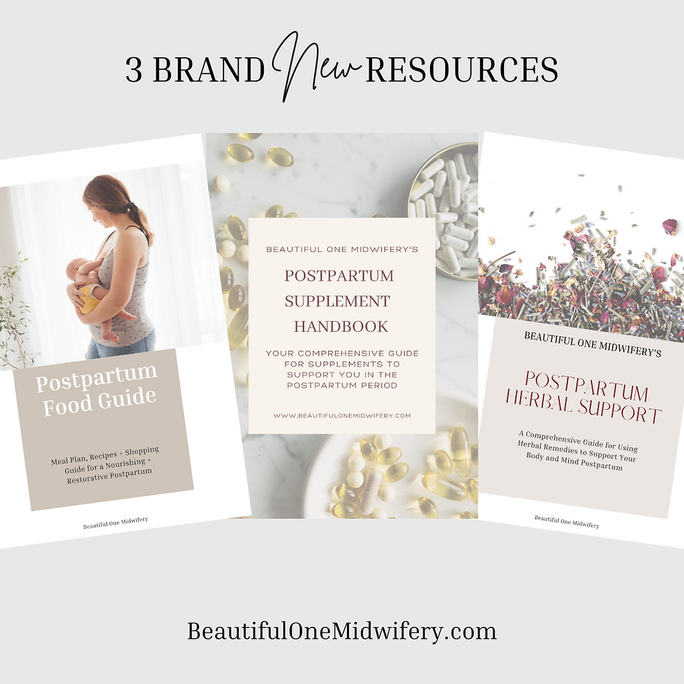 Thumbnail: Postpartum Planning + Support Bundle