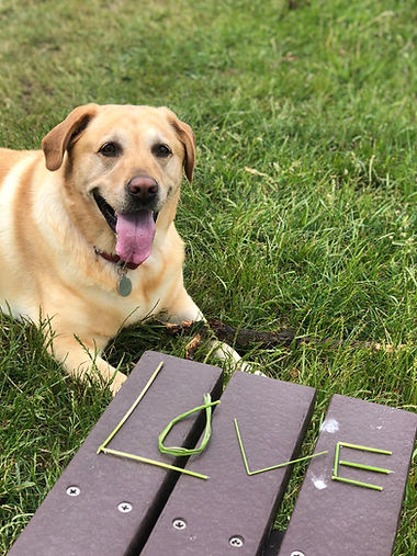 belle belle_edited.jpg