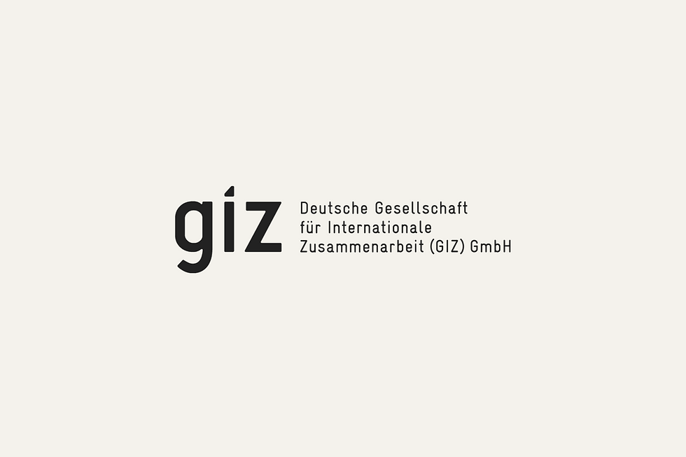 giz_logo.png