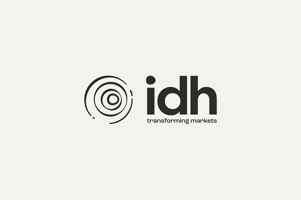 idh_logo_rectangle.png