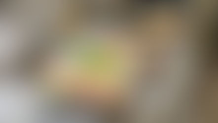 ¡Buenas noticias para Panamá!