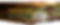 coffee-slides-03.png