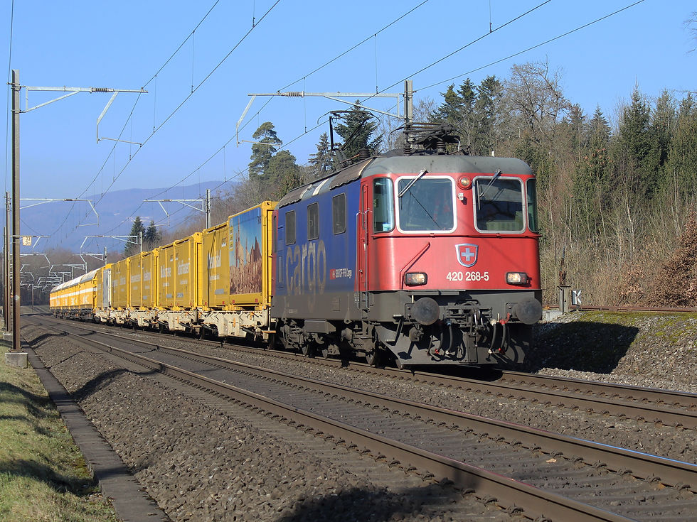 5890-14.02.19 Lenzburg