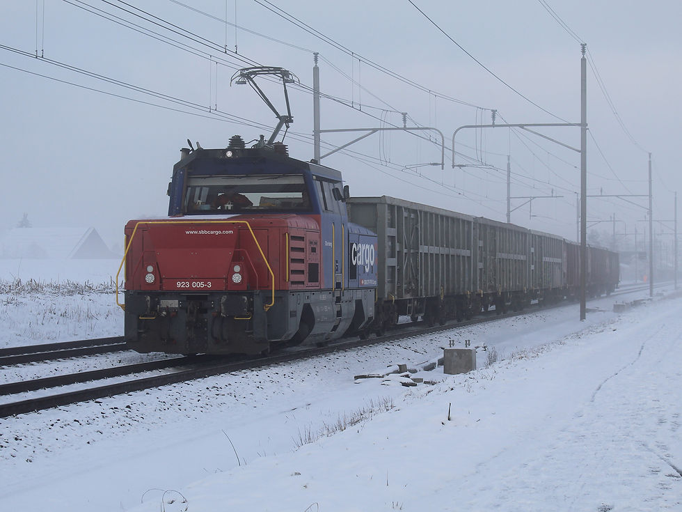 5877-04.02.19 Wohlen