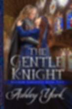 The-Gentle-Knight-e-reader