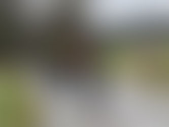 Stage club des 7 et 8 février 2026