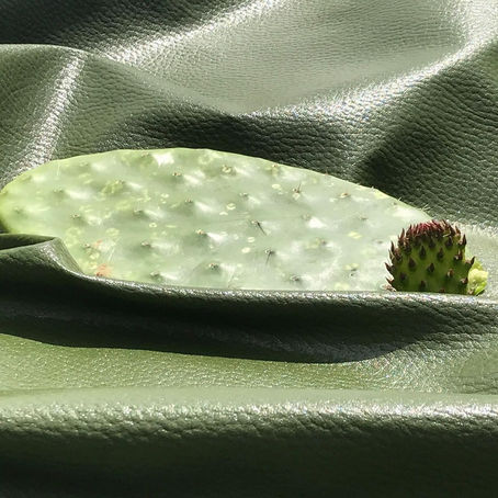 What Is Desserto Cactus Leather and Is It Sustainable?