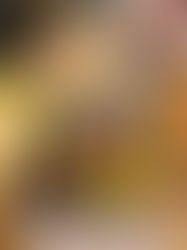 たわわなさんの新年のクッキー缶