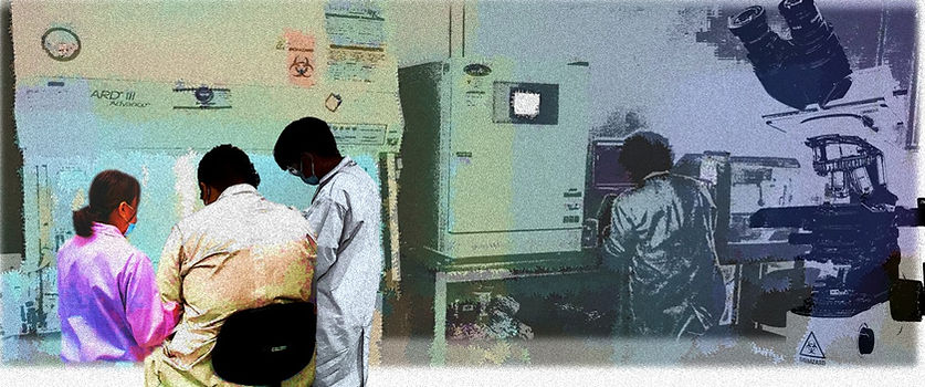 BANNER_edited.jpg