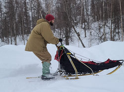 Dog Mushing